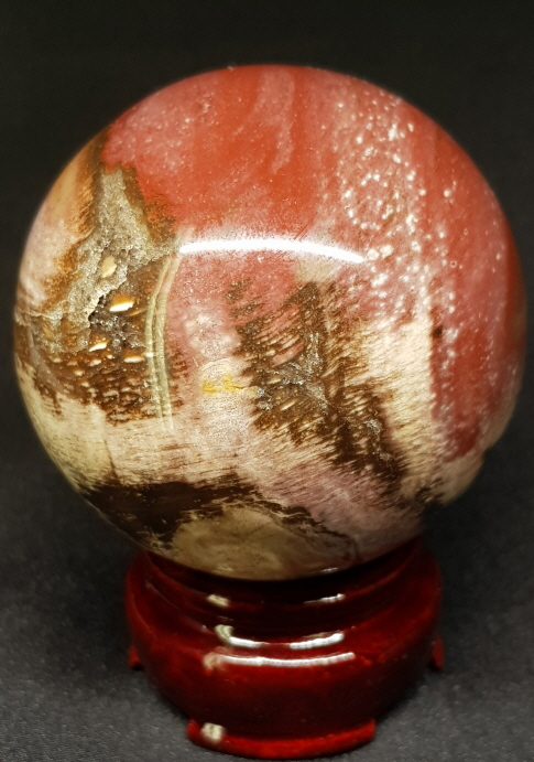 규화목(나무 화석) 61mm 구