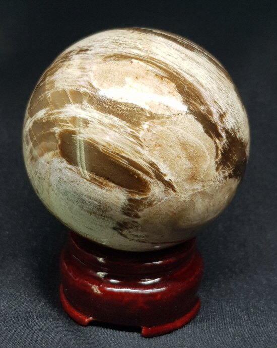 규화목(나무 화석) 61mm 구