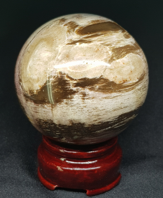 규화목(나무 화석) 61mm 구