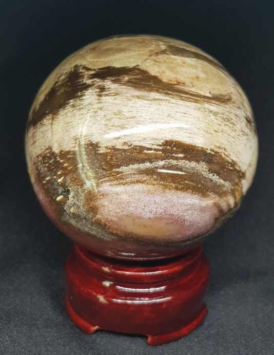 규화목(나무 화석) 61mm 구