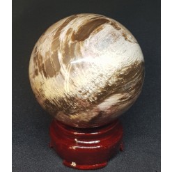 규화목(나무 화석) 61mm 구