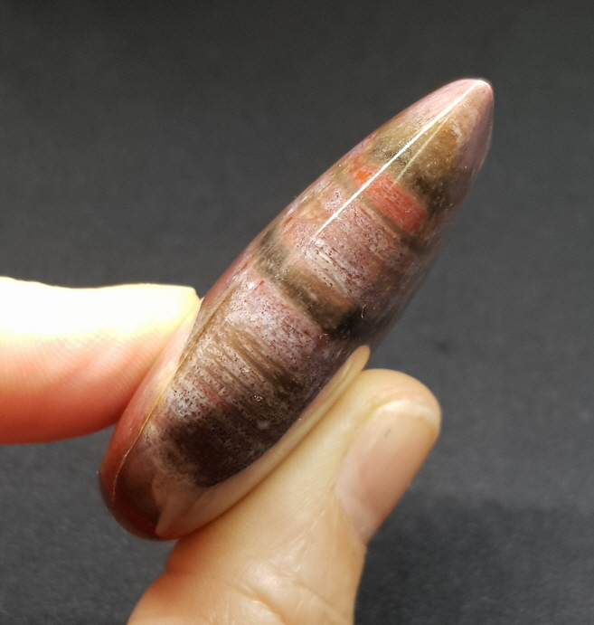 규화목(나무화석) 하트형