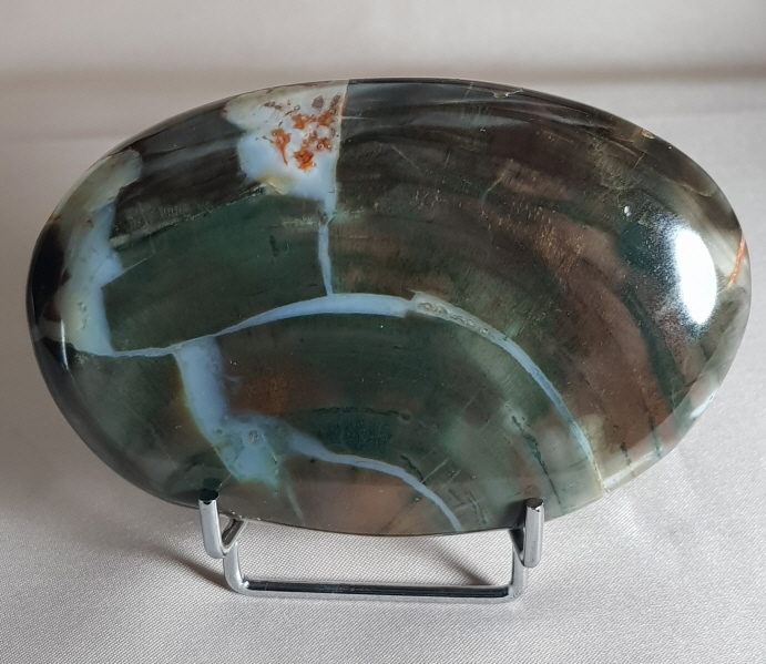 규화목( 나무 화석)