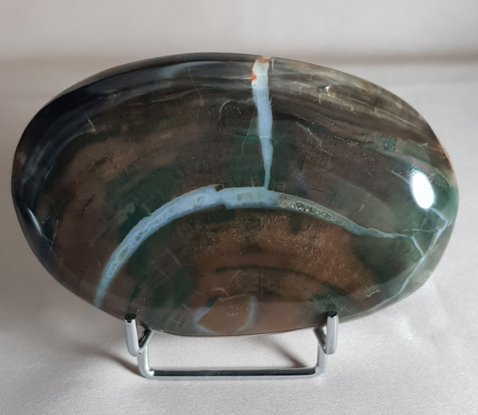 규화목( 나무 화석)