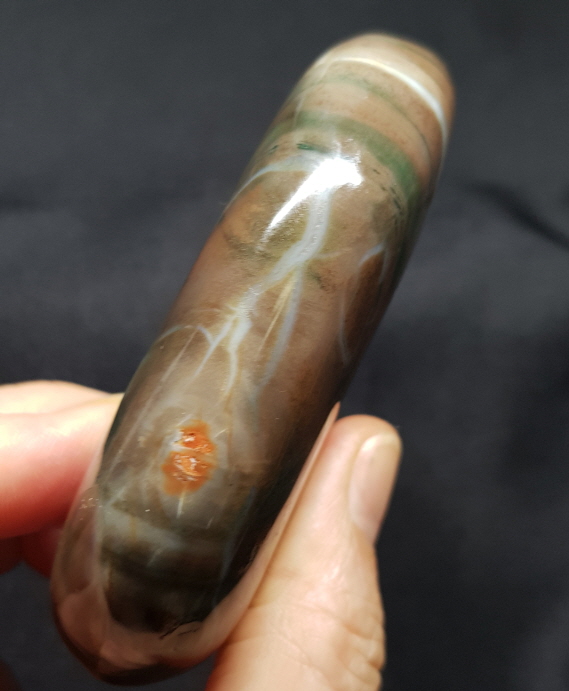 규화목( 나무 화석)