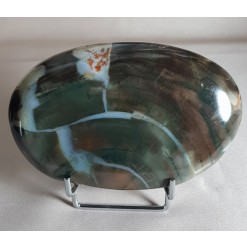 규화목( 나무 화석)