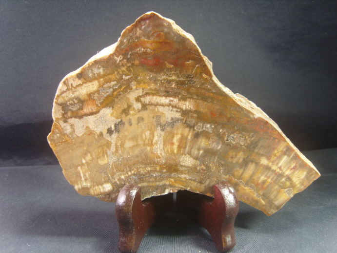 규화목(나무화석 수정 )소품