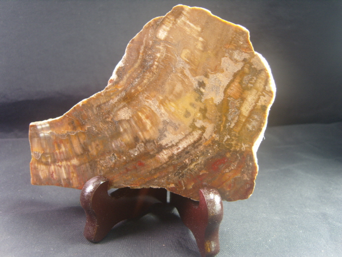 규화목(나무화석 수정 )소품