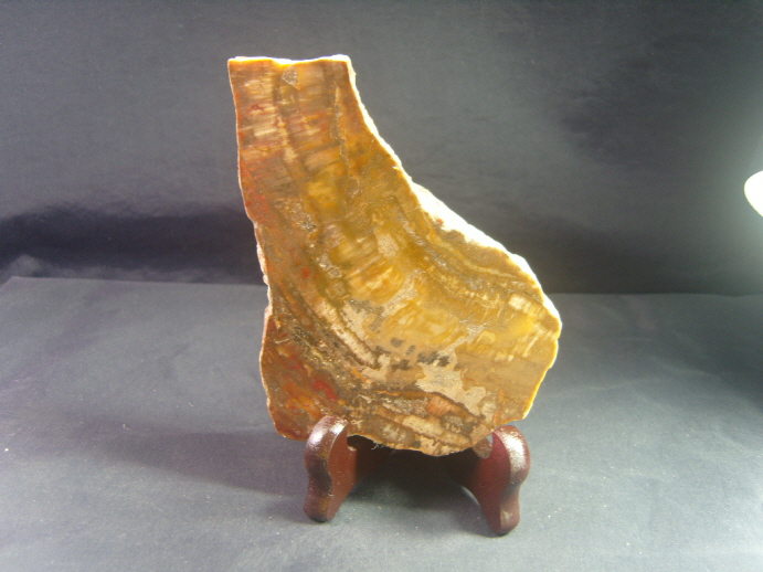 규화목(나무화석 수정 )소품