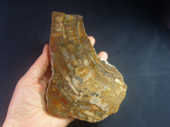 규화목(나무화석 수정 )소품