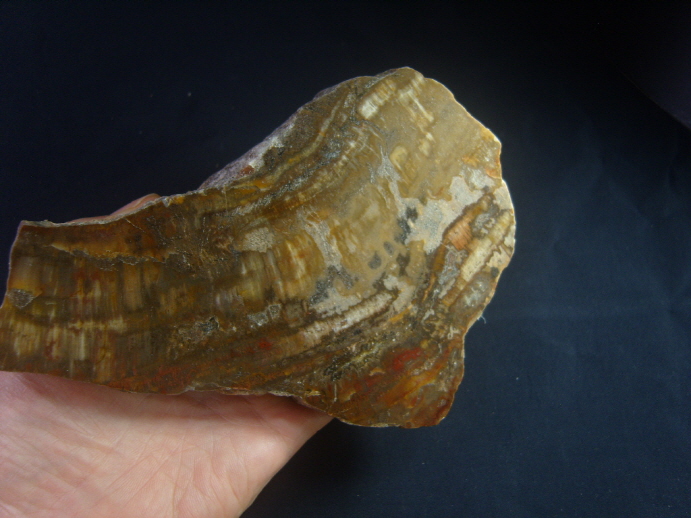 규화목(나무화석 수정 )소품