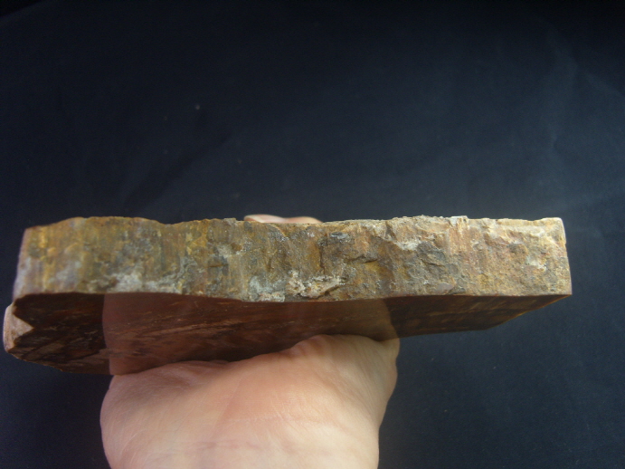 규화목(나무화석 수정 )소품