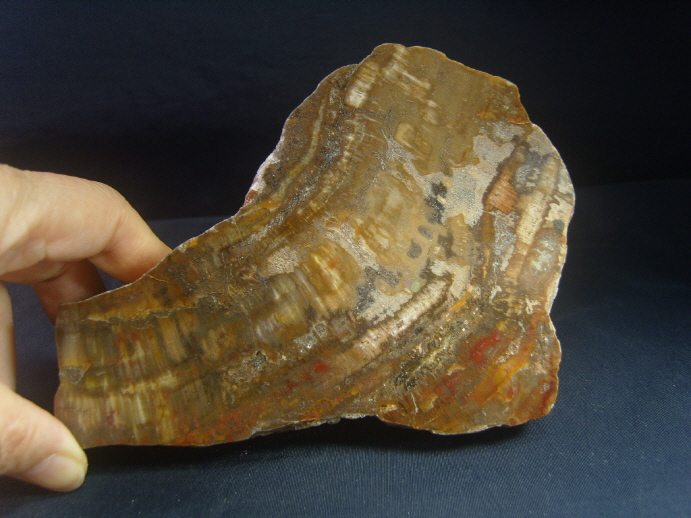 규화목(나무화석 수정 )소품