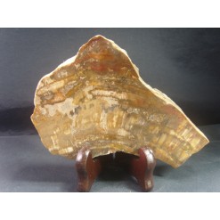 규화목(나무화석 수정 )소품