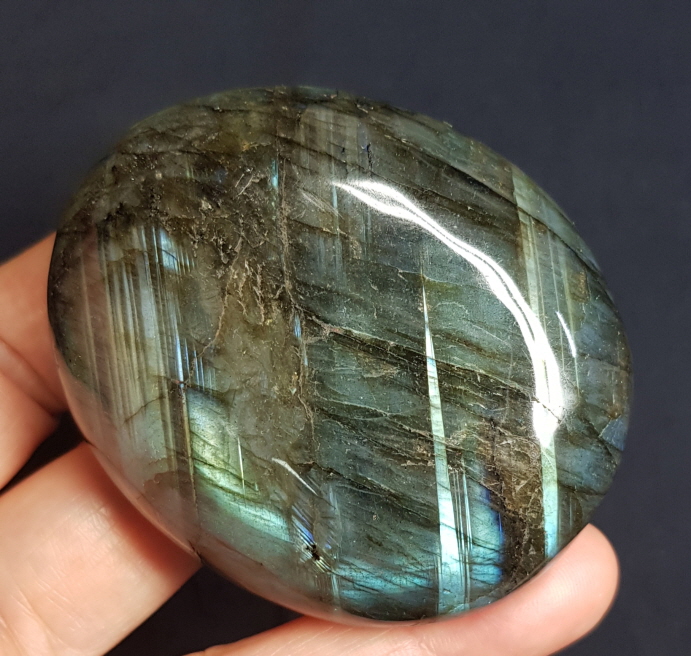 라브라도 라이트 자갈형