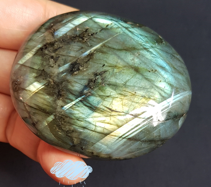 라브라도 라이트 자갈형