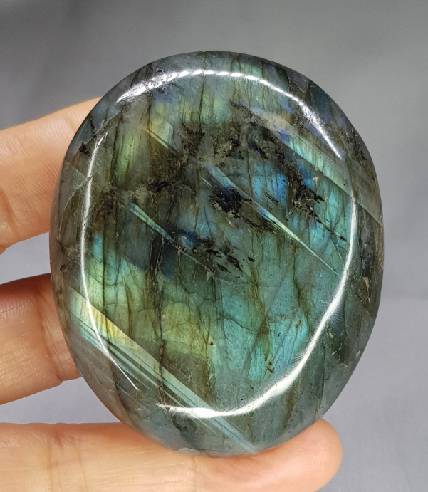 라브라도 라이트 자갈형