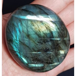 라브라도 라이트 자갈형