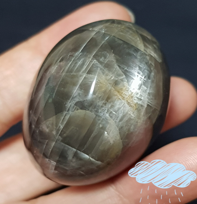 블랙 미크로크린