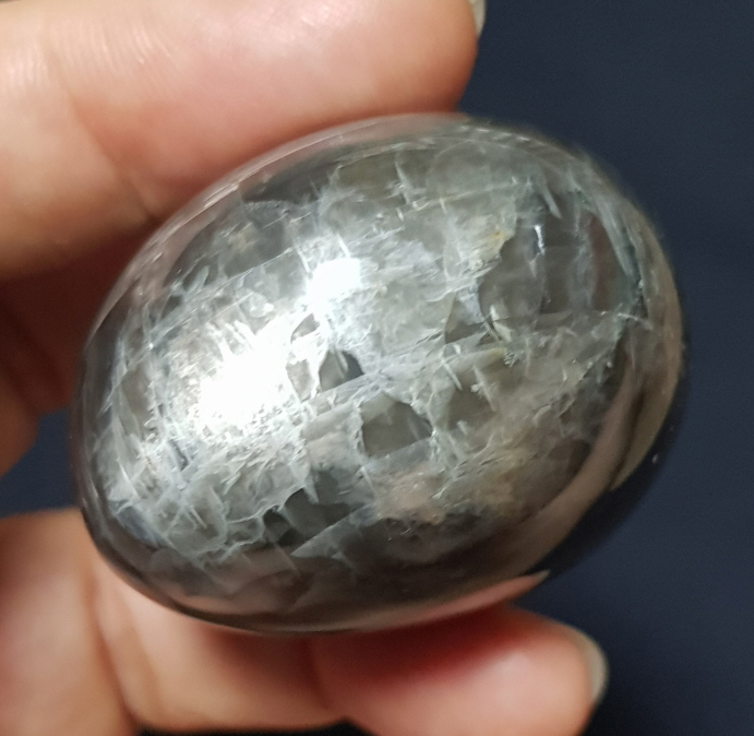 블랙 미크로크린