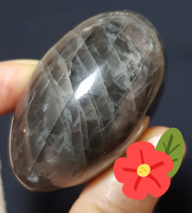 블랙 미크로크린