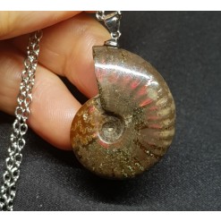 암몰라이트 화석펜던트