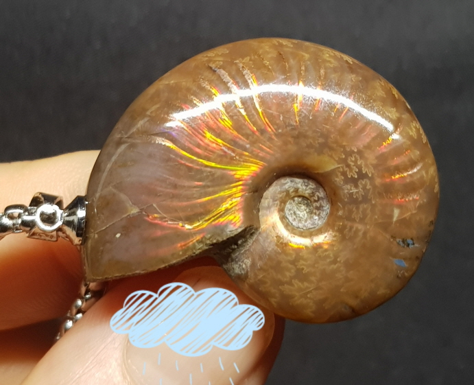 암몰라이트 화석펜던트