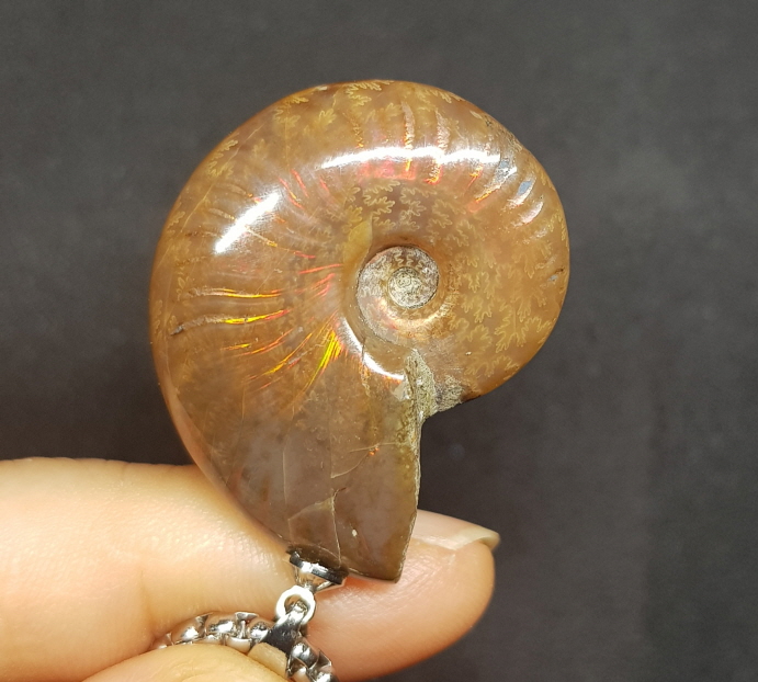 암몰라이트 화석펜던트