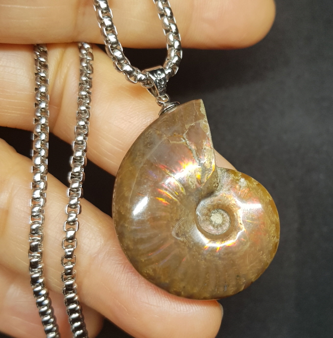 암몰라이트 화석펜던트