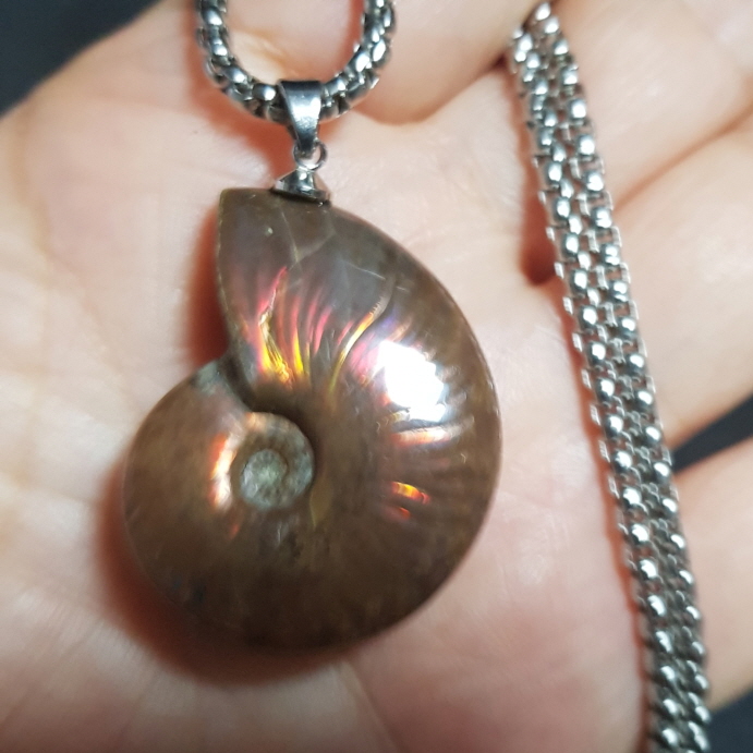 암몰라이트 화석펜던트