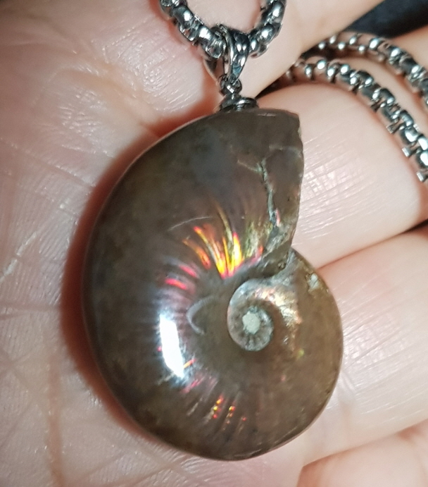 암몰라이트 화석펜던트