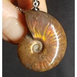 암몰라이트 화석펜던트