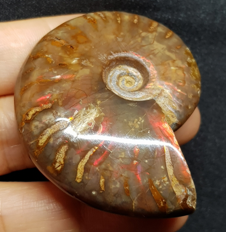 붉은빛 아름다운 오팔 암몰라이트