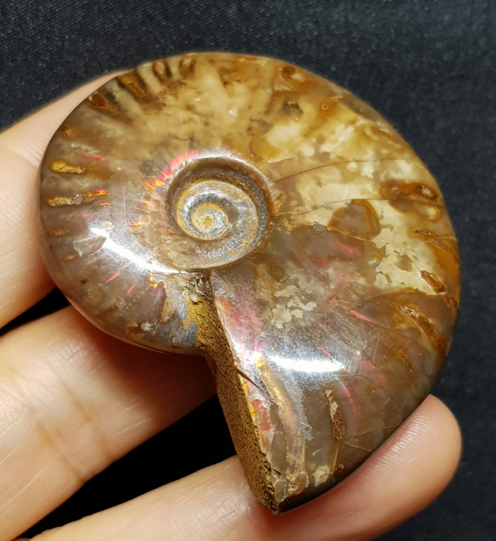 붉은빛 아름다운 오팔 암몰라이트