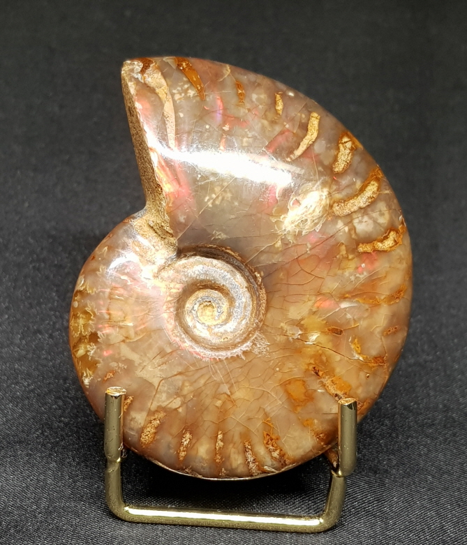 붉은빛 아름다운 오팔 암몰라이트