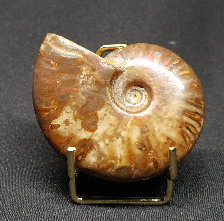 붉은빛 아름다운 오팔 암몰라이트