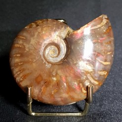 붉은빛 아름다운 오팔 암몰라이트