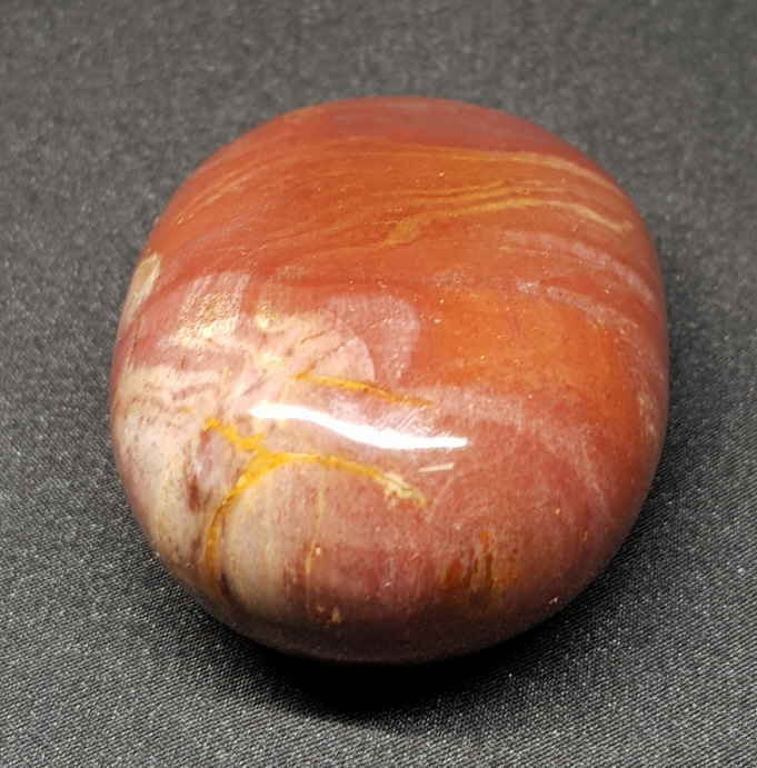 색감 좋은 나무 화석 자갈형