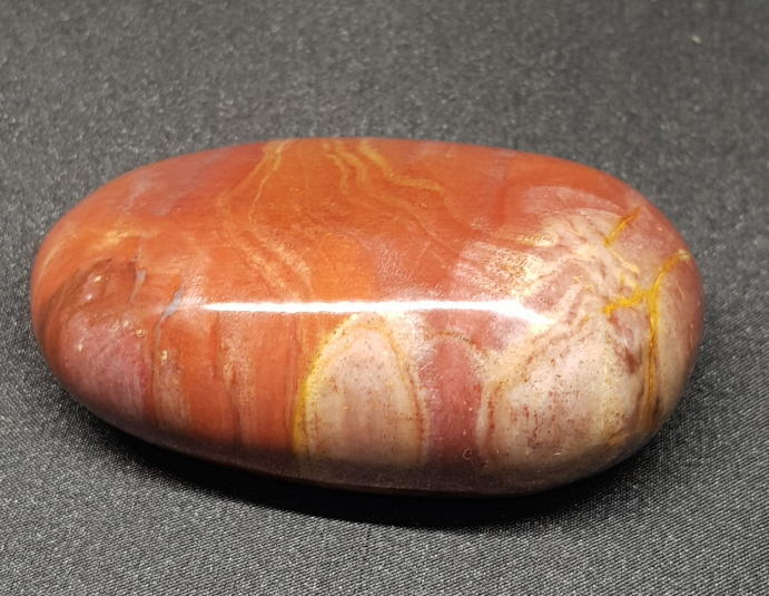 색감 좋은 나무 화석 자갈형