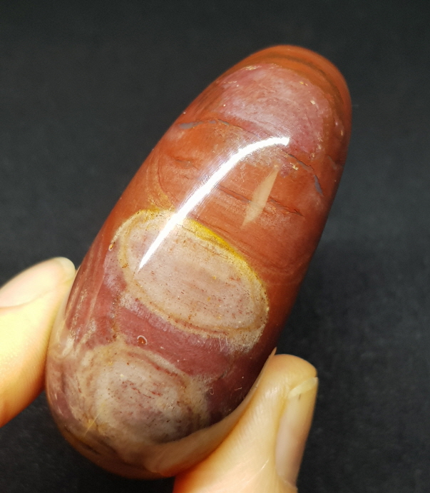 색감 좋은 나무 화석 자갈형