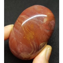 색감 좋은 나무 화석 자갈형