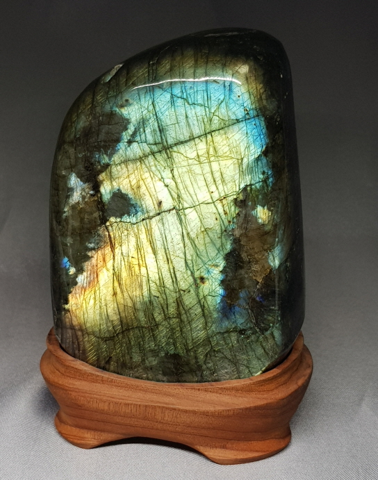 라브라도 라이트 소품