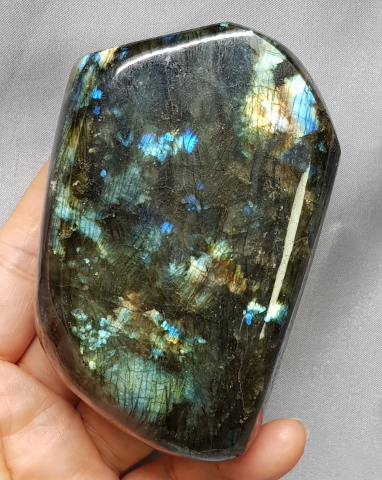 라브라도 라이트 소품