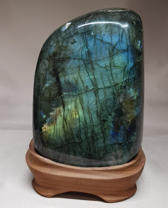 라브라도 라이트 소품