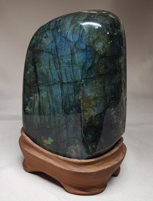 라브라도 라이트 소품