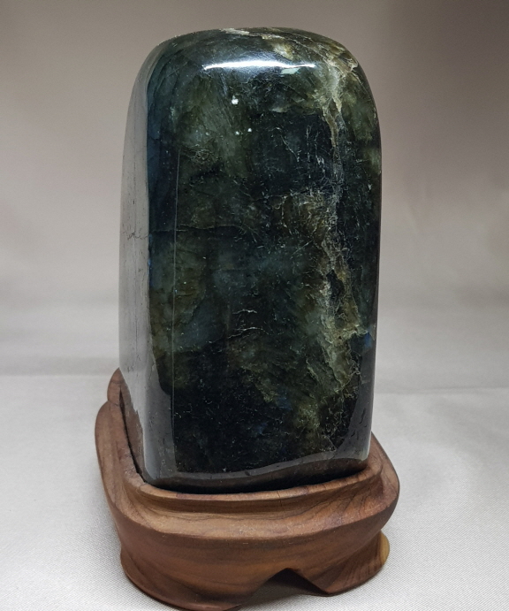 라브라도 라이트 소품