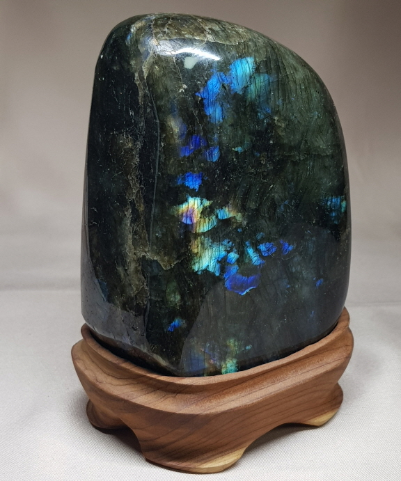 라브라도 라이트 소품