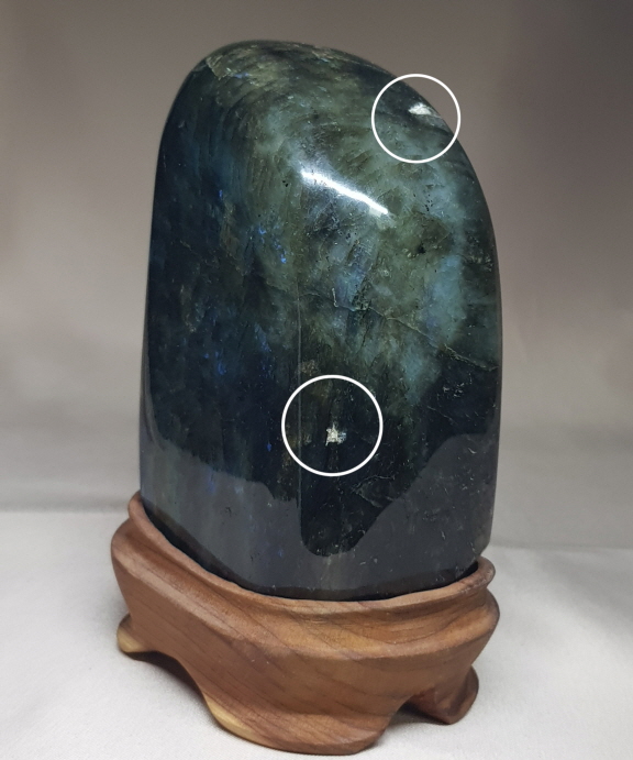 라브라도 라이트 소품