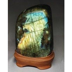 라브라도 라이트 소품