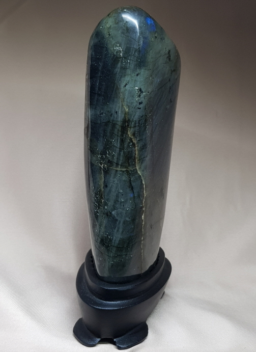 색감 아름다운 라브라도 라이트 소품